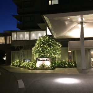 観光ホテル LEDイルミネーション