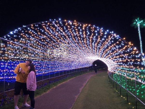 光のトンネル イルミネーション実績